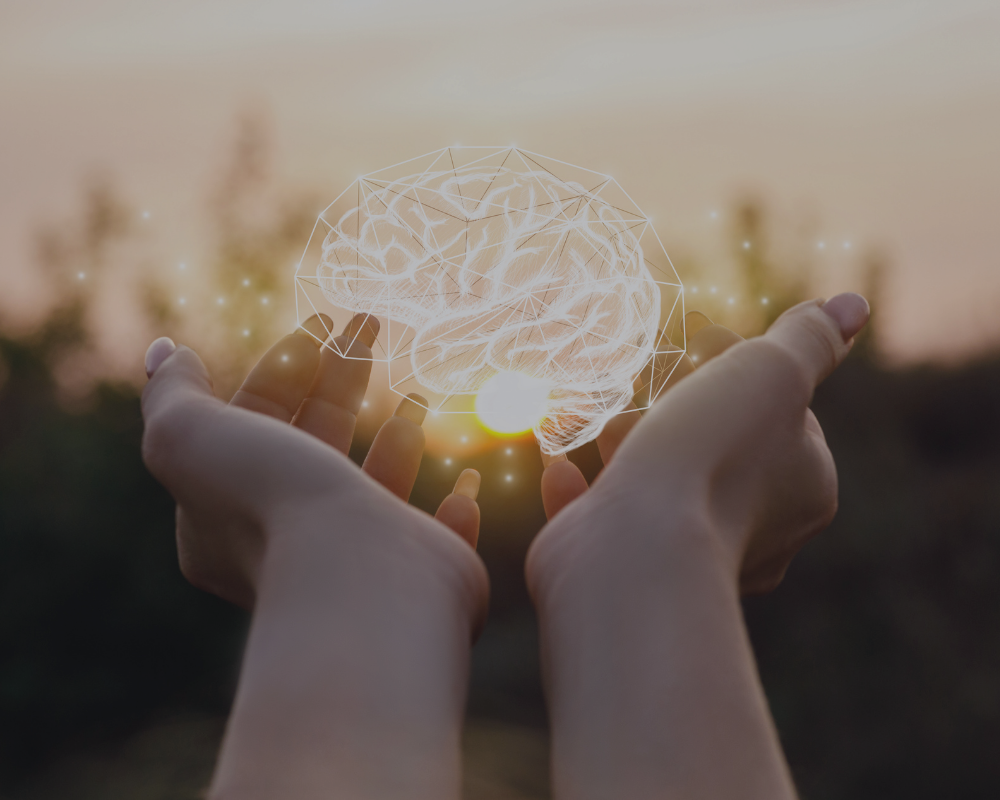 Microdosing Essentials & Contraindications